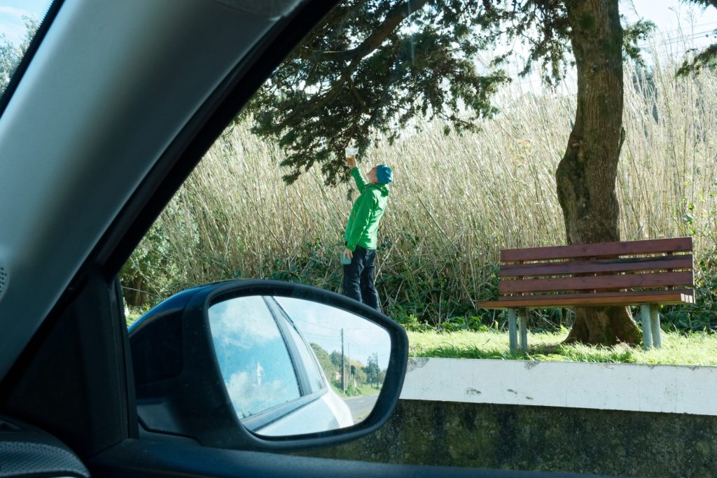 Man catching yeasts under a tree